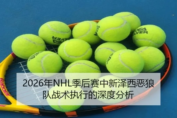 nian-ji-hou-sai-zhong-xin-ze-xi-e-lang-dui-zhan-shu-zhi-xing-de-shen-du-fen-xi-2-731.jpg