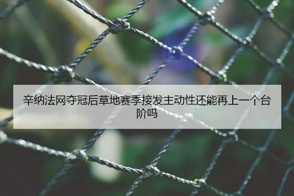 辛纳法网夺冠后草地赛季接发主动性还能再上一个台阶吗