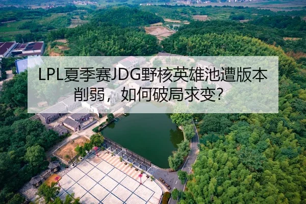 LPL夏季赛JDG野核英雄池遭版本削弱，如何破局求变？