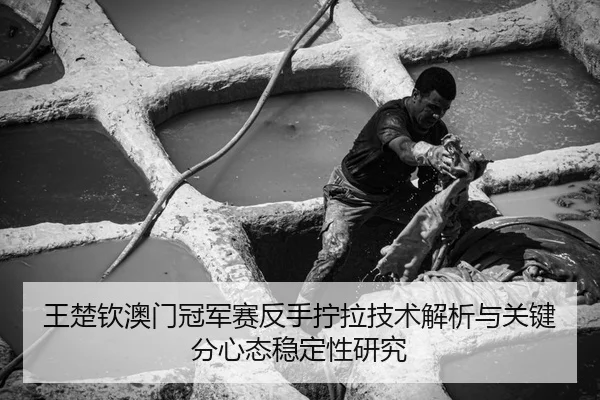王楚钦澳门冠军赛反手拧拉技术解析与关键分心态稳定性研究