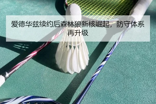 爱德华兹续约后森林狼新核崛起，防守体系再升级