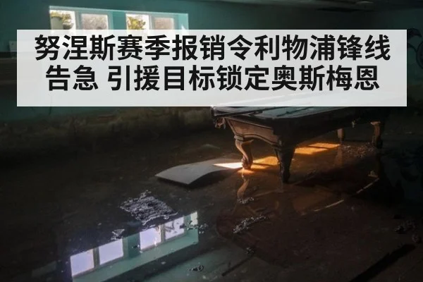 努涅斯赛季报销令利物浦锋线告急 引援目标锁定奥斯梅恩